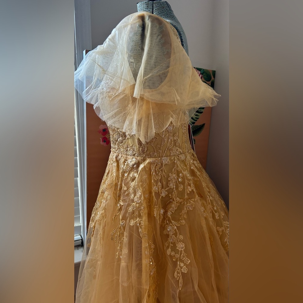 NWT JJ’s HOUSE GOLD EVER PRETTY SEQUIN, TULLE, LACE APPLIQUE’ Sz16. STUNNING! - Picture 4 of 11